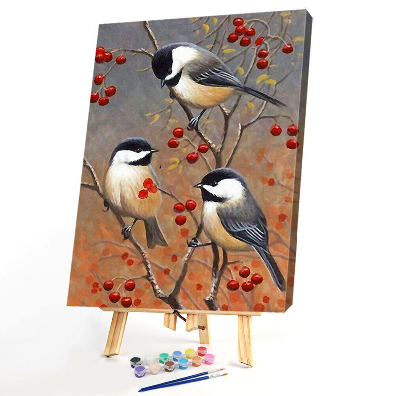 Painting By Numbers Kit DIY Birds on Branch Canvas Oil Art Picture Craft