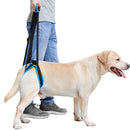 #A Adjustable Dog Leash Aid Assist Tool Lift Harness for Back Legs Pet Support