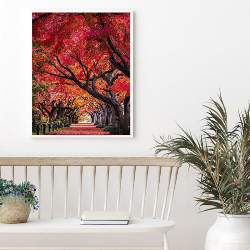 Path Scene Drawing Frameless DIY Oil Paint by Numbers Canvas Home Decor Kit