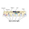 1.2V Solar Lawn Light Circuit Board with Switch Underground Light Control