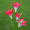 4 Head Lily Flower Solar Light Colorful LED Lawn Lamp Outdoor Light (Red) Newly