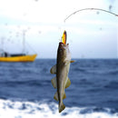 5pcs 10cm 13g Bait Topwater Simulation Crankbait Artificial Fish Bait Tac