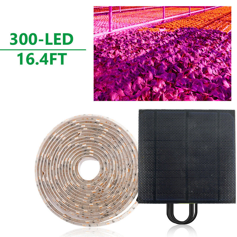 5m Solar Panel Full Spectrum Phyto Lamp 2835 SMD LED Plant Grow Light Strip