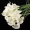 Weiß künstliche Calla-Lilie blüht Blumenstrauß Garden Q7U7 Mode W9U5 C6C9 K1S4