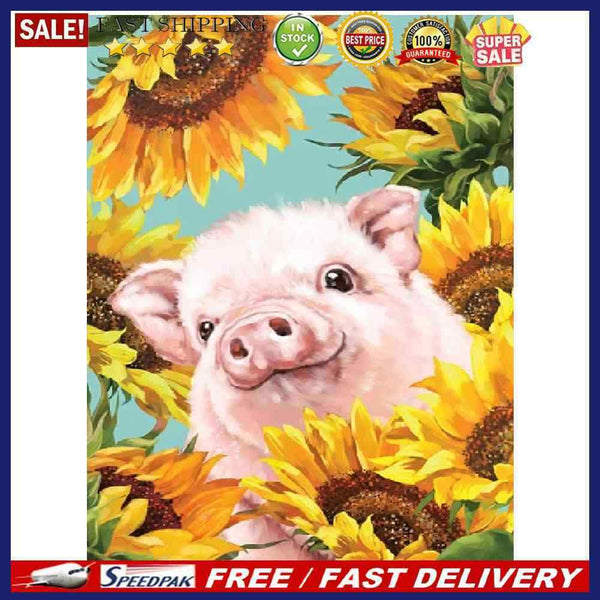 Sunflower Pig Oil Paint By Numbers Hand Painted Wall Art Craft Home Decorat