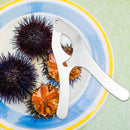 Stainless Steel Sea Urchin Scissors - Multipurpose Ultra Sharp Utility Tool