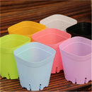 Garden Supply Succulent Mini Basin Flower Pot Planter Tool Plant  Trays