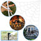 #A 7m Simulated Spider Home Decor Halloween Spider Silk Rope for Haunted House