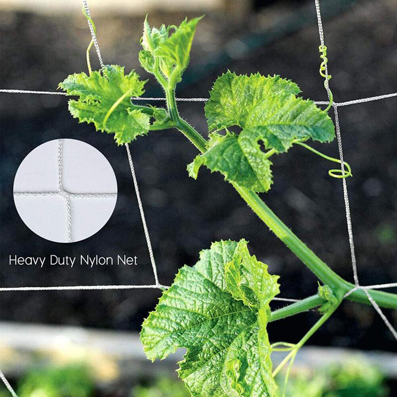 1.67x5m Garden Plants Climbing Net Polyester Cucumbers Vine Stand Trellis Net