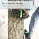 Baumkletterwerkzeug Pole Climbing Spikes Jagdbeobachtung U3V4 B6K7 F2L5