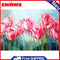 Pink Tulip Flower Hand Painted Oil Painting By Numbers Set Gift No Frame 40x30cm