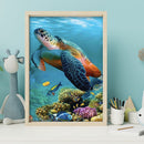 5D DIY Diamond Painting Kits Full Round Drill Turtle Mosaic Wall Picture (B48