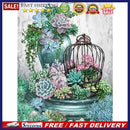 Painting By Numbers Kit DIY Succulent Plants Canvas Oil Art Picture Home De