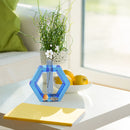 Acrylic Test Tubes - 2 Pieces Planter Vase for Plant Propagation (Blue 3)
