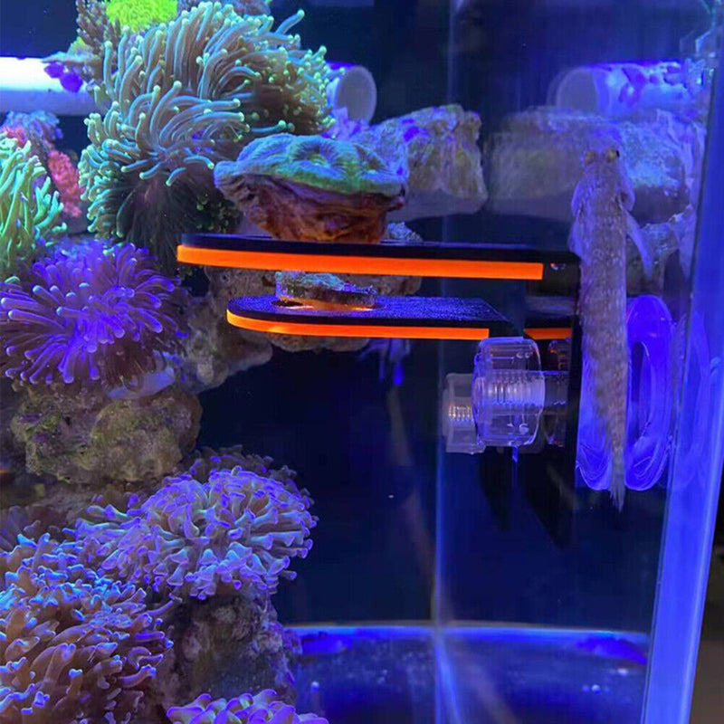 Fish Tank Fluorescence Coral Frag Rack Aquarium Reef w/Plug Holder (Orange)
