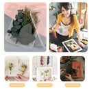 DIY Preserved Flower Scented Candle Material Suitable for Soap Making Nail Ar