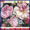 Peonies in Bloom Oil Paint By Numbers DIY Handpainted on Canvas Home Decora