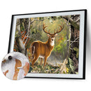Deer Black Bear Canvas Paint By Numbers Oil Hand Painted Drawing Kit Home Dec