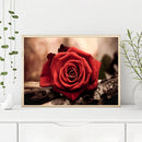 5D DIY Diamond Painting Red Rose Full Round Drill Art Picture Rhinestone