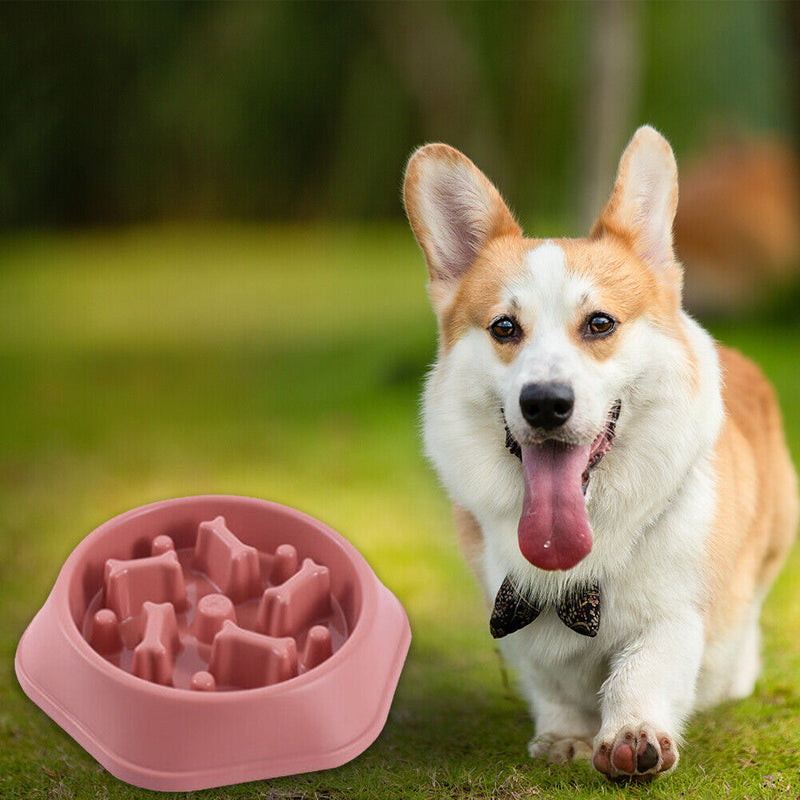 Pet Slow Eating Dish Cat Dog Anti Choking Puppy Feeder Food Bowl (Red) Newly