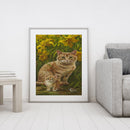Cats Oil Paint By Numbers DIY Coloring Picture Kits for Adults Children Crafts