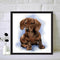 5D DIY Full Drill Diamond Painting Logy Dog Embroidery Needlework Wall Decor
