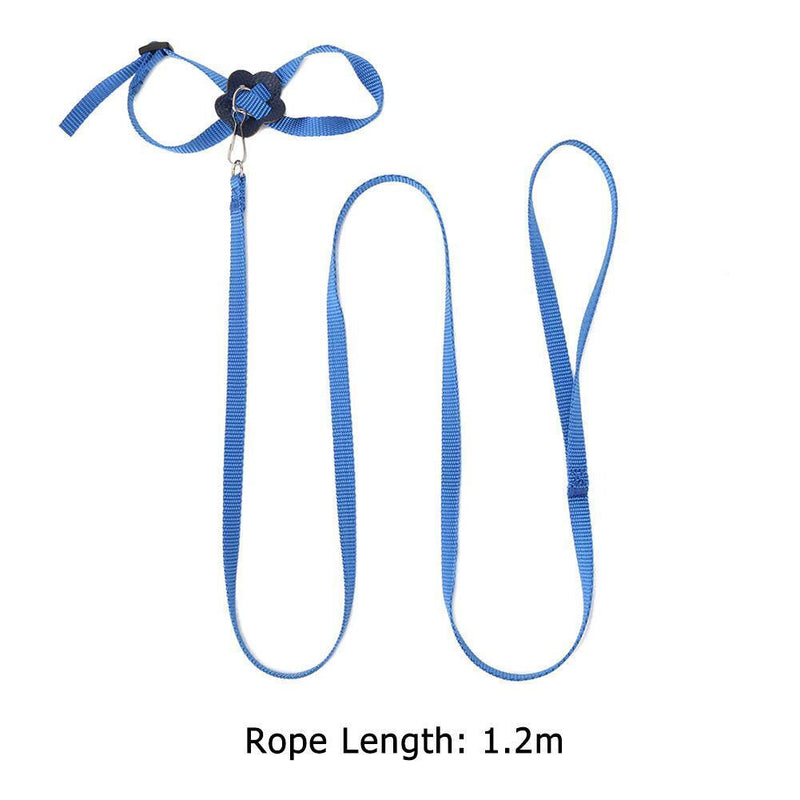 Parrot Leash Adjustable Harness Bird Anti Fly Outdoor Training Rope (Blue) Newly