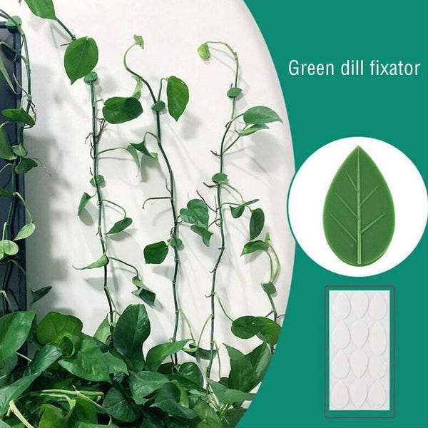 20PC x Plant Fixture Clip Plant Climbing Wall Self-Adhesive Fix Hot Tied O9K7