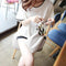 Women Bottom T-Shirt Solid Color Half Sleeve O-neck Tee Shirt (White M)
