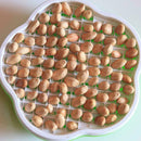 Home Kitchen Sprouter Bean Sprouts Maker Growing Hydroponic Nursery BEST Y6X3