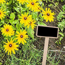 20pcs Mini DIY Plant Pot Blackboard Garden Kitchen Yard Labels Flower Z5F8