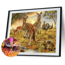 5D Kangaroo Mosaic Diamond Painting Drawing Full Round Drill DIY Art Handcraft
