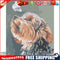 Dog and Butterfly Hand Paint Oil DIY Painting Canvas Drawing By Numbers Kit