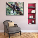 5D DIY Diamond Painting Black Bear Full Round Drill Wall Home Decoration Cr