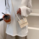 Mini Crossbody Bags Retro Print Straw Leather Handbags Chain Purse (Beige)