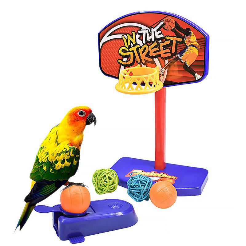 Training Bird Interactive Parrot Basketball Skateboard Ferrule Tower Toys