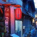 10inch Spray Painting Lantern Cloth Hanging Decorative for Pub Festival (E)