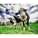 5D DIY Diamond Painting Kits Full Round Drill Cattle Mosaic Home Decoration G