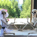 Poseable Human Skeleton Prop Halloween Party Decoration Plastic Durable C9C0