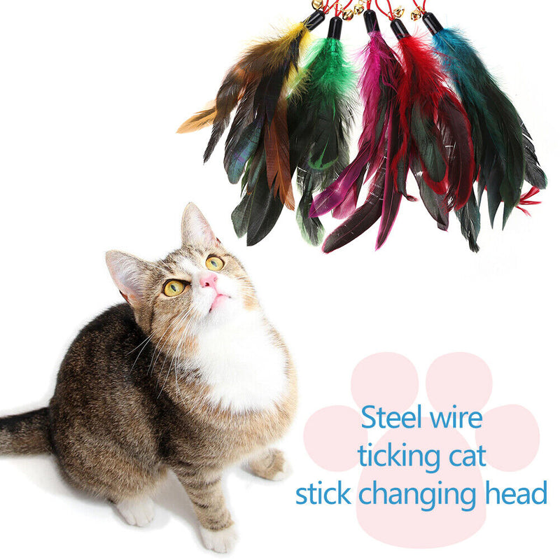 5pcs Cat Teasing Feather Wall Bell Round Pets Kitten Teaser Replacement Toys