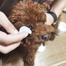 Pets Dog Cat Cleaning Paper Towel Wet Gentle Wipes Tear Stain Remover (Eye)