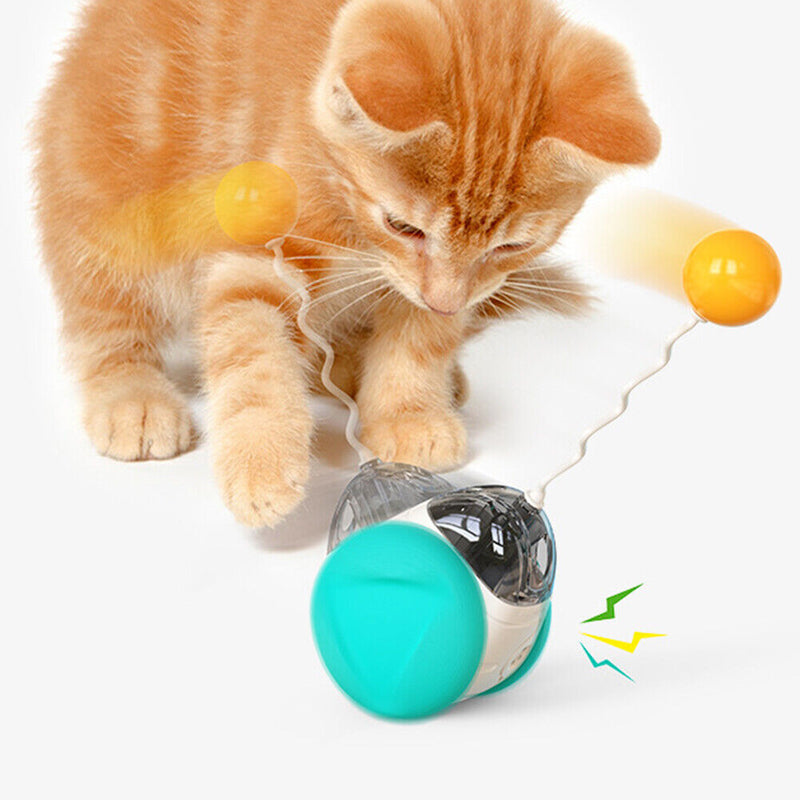 Cat Interactive Toys Swing Balance Body Colorful Sound Catnip Teaser Cat Pr