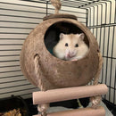 Parrot Coconut Shell Bird Nest Hamster Parakeet House with Hanging Ladder Newly