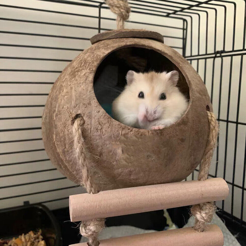 Parrot Coconut Shell Bird Nest Hamster Parakeet House with Hanging Ladder Newly