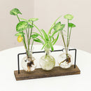 Desktop Ornament Flower Arrangement Hydroponic Vase Plant Flower Pot Glass Vase