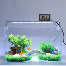 Aquarium LCD Digital Thermometer High Precision Temperature Meter (Black) Newly