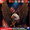 5D DIY Full Drill Diamond Painting Eagle Flag Cross Stitch Embroidery Kit Newly