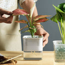 Lazy Flowerpot Transparent Hydroponic Flower Pot Soilless Home Vase (White)