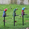 LED Solar Lights Parrot Waterproof Lawn Stakes Lamps Garden Decor (Red)