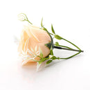 Preserved Single Rose Soap Flower Gift Box Valentines Day Gifts (Champagne)